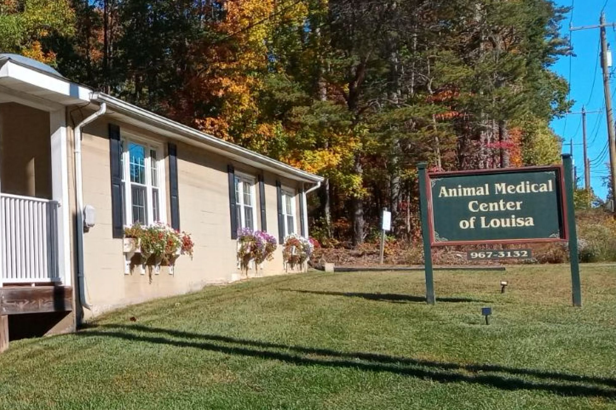 Animal Medical Center of Louisa